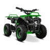 Quad elektryczny dla dziecka Liya E-M7/6 800W
