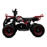 Quad elektryczny dla dziecka Liya E-M7/6 800W