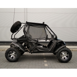Buggy Z-250