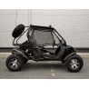 Buggy Z-250
