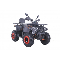 Asix Fourcraft 250 Quad ATV - 2