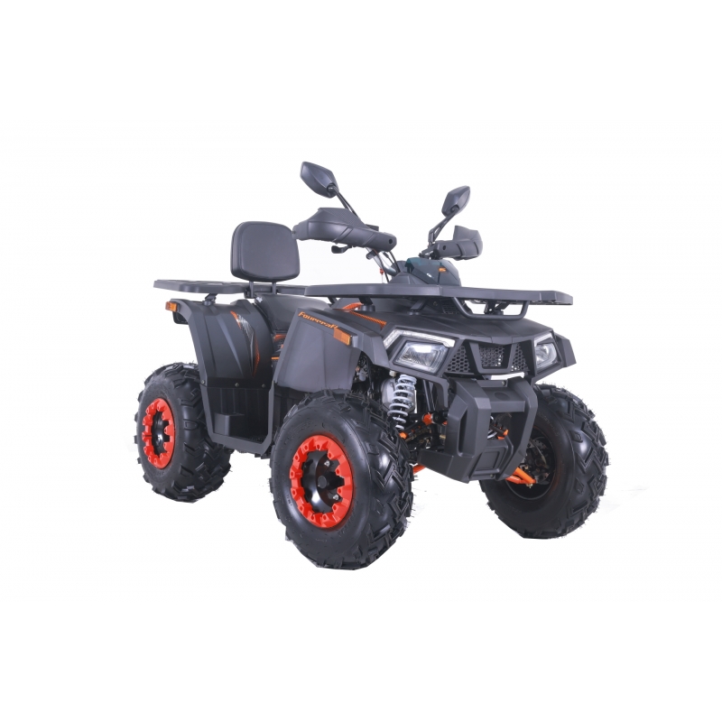 Asix Fourcraft 250 Quad ATV - 2