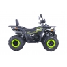 Asix Fourcraft 250 Quad ATV - 3