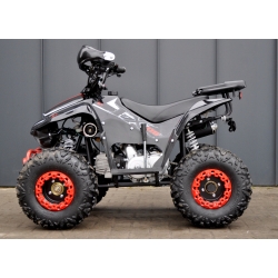 Beretta FX 110 Quad ATV - 4