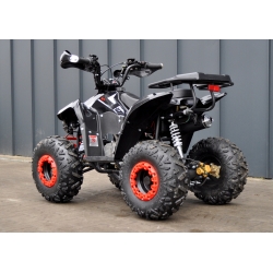 Beretta FX 110 Quad ATV - 8